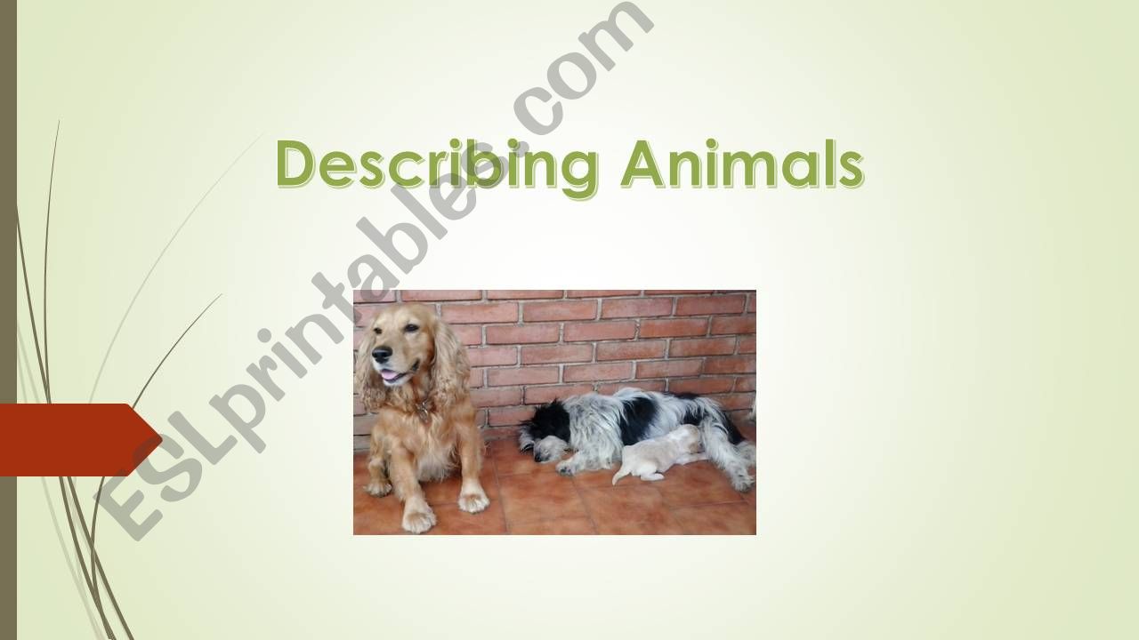 Describing Animals with Adjectives