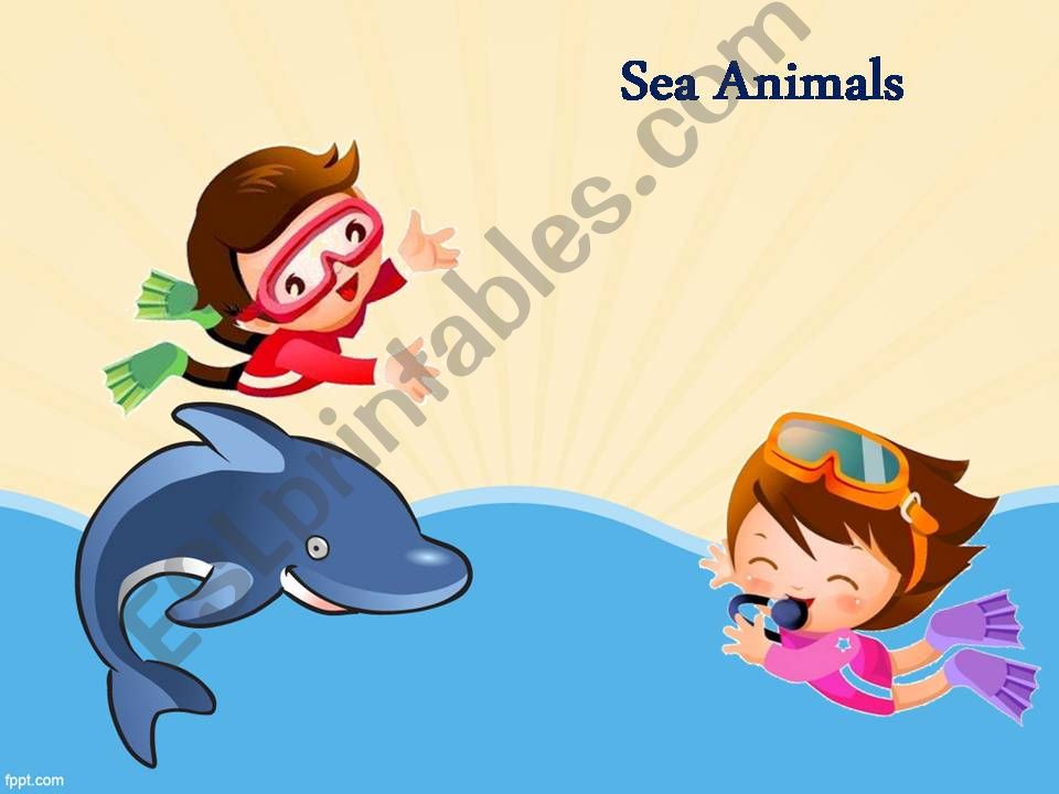 Sea Animals powerpoint