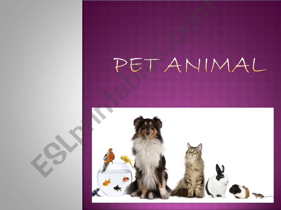 pet animal powerpoint
