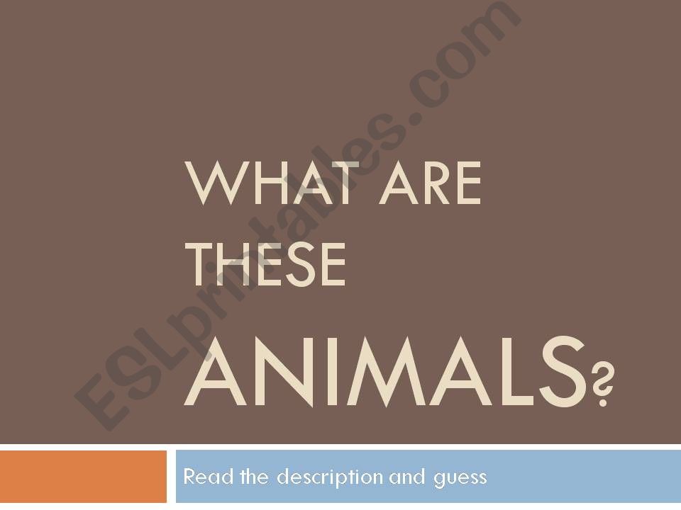 what are these animals? powerpoint