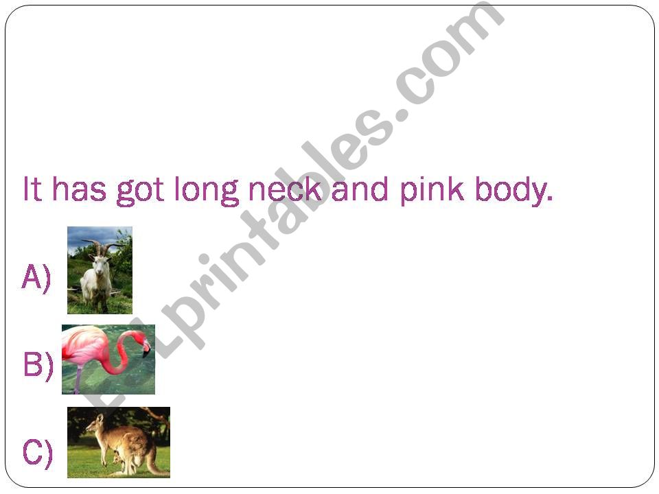 animal game powerpoint