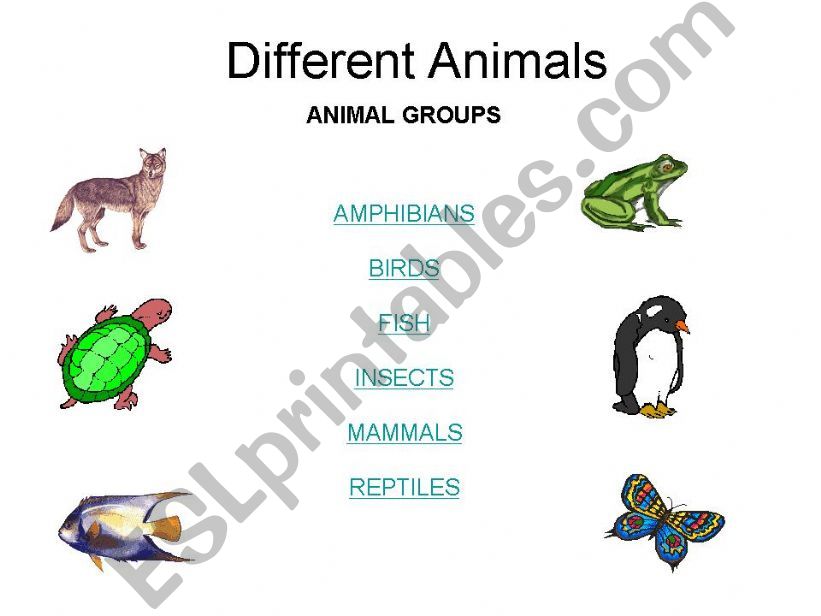 Different Animals powerpoint
