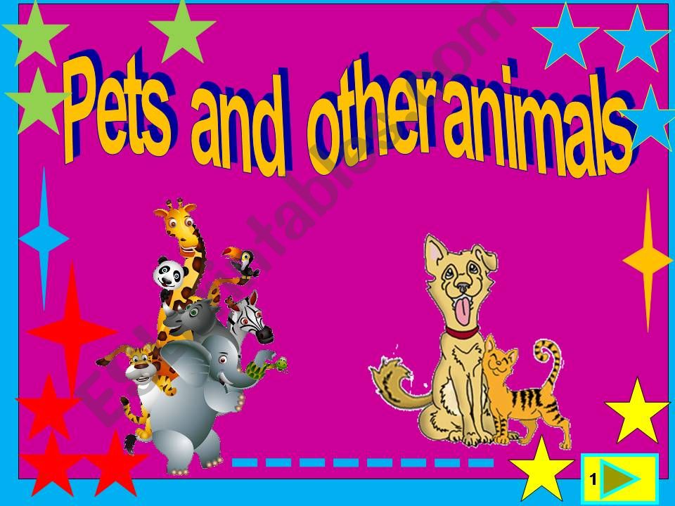 Pets and other animals powerpoint