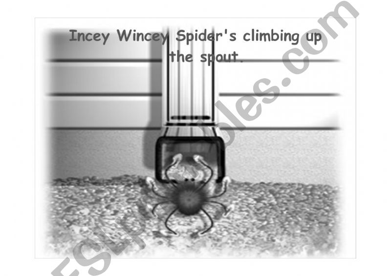 Incy Winsy Spider powerpoint