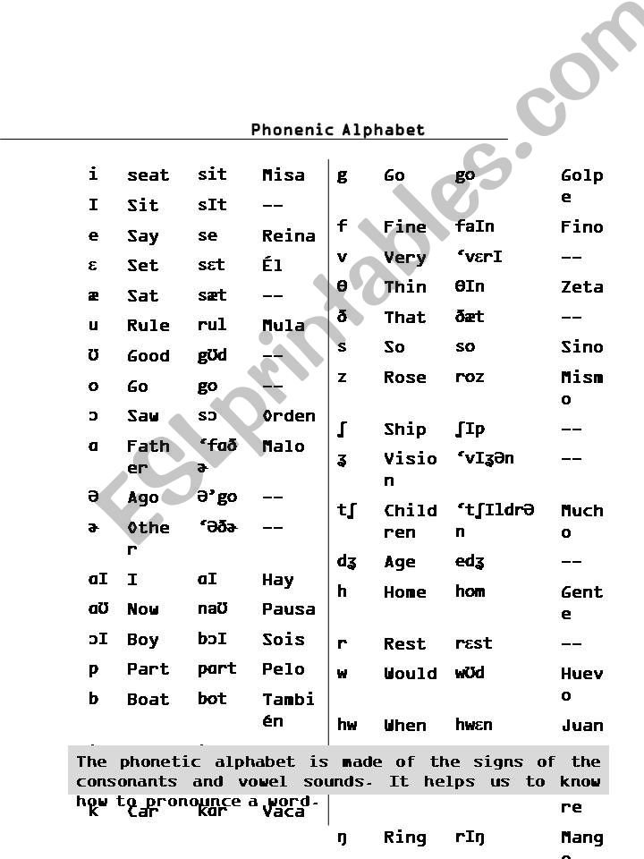 Alphabet, verb to be and a/an powerpoint