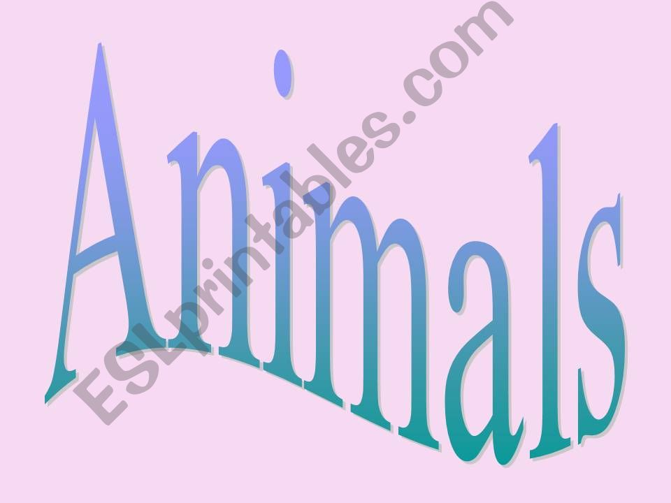 Lets count animals powerpoint