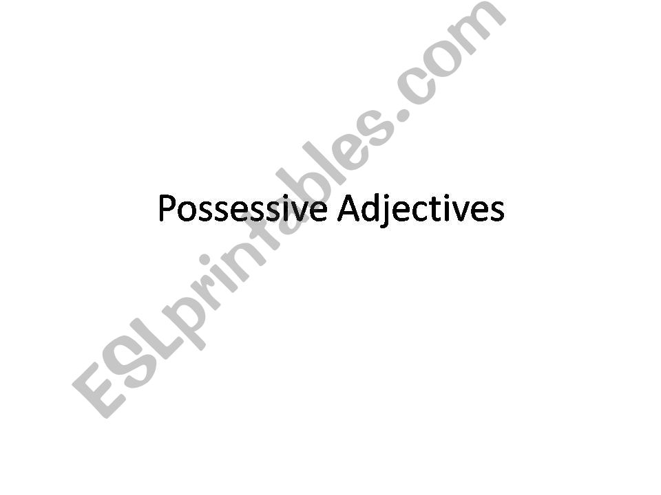 Possessive Adjectives powerpoint