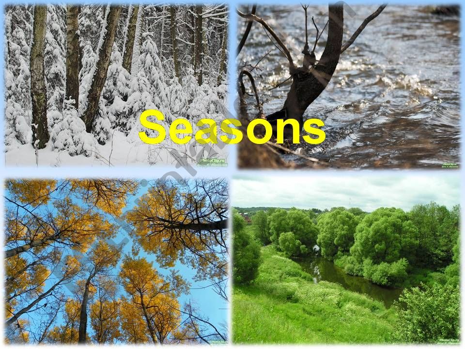 Seasons and weather powerpoint