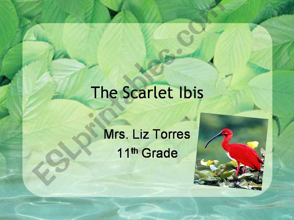 The scarlet ibis powerpoint