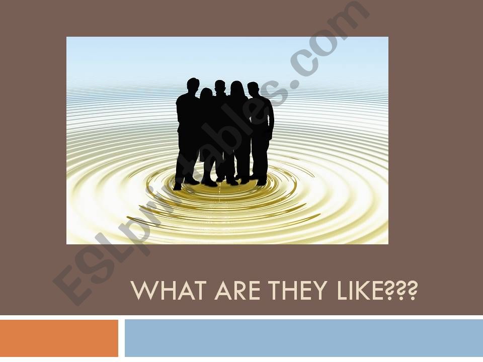 WHAT ARE THEY LIKE? powerpoint