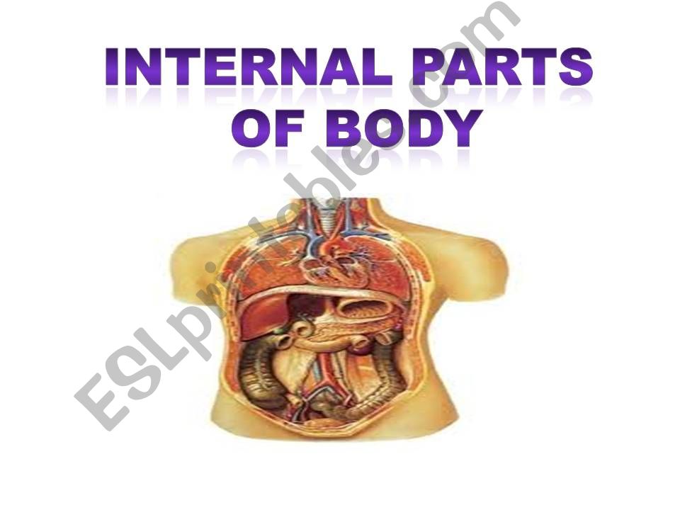Internal parts of body powerpoint