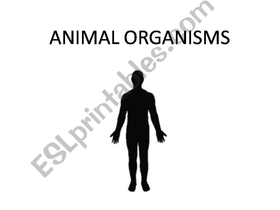 Animal organisms powerpoint