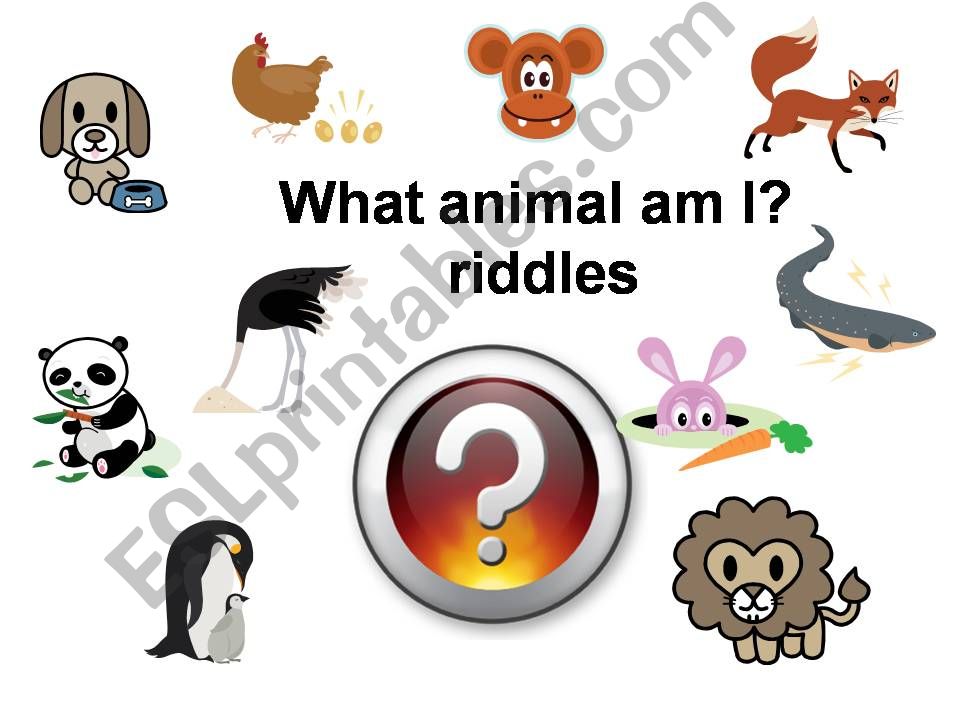 What animal am I riddles powerpoint