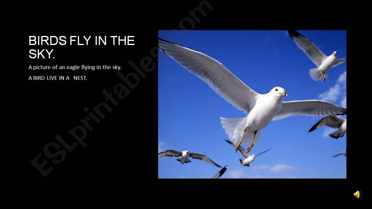 birds flying in the sky powerpoint