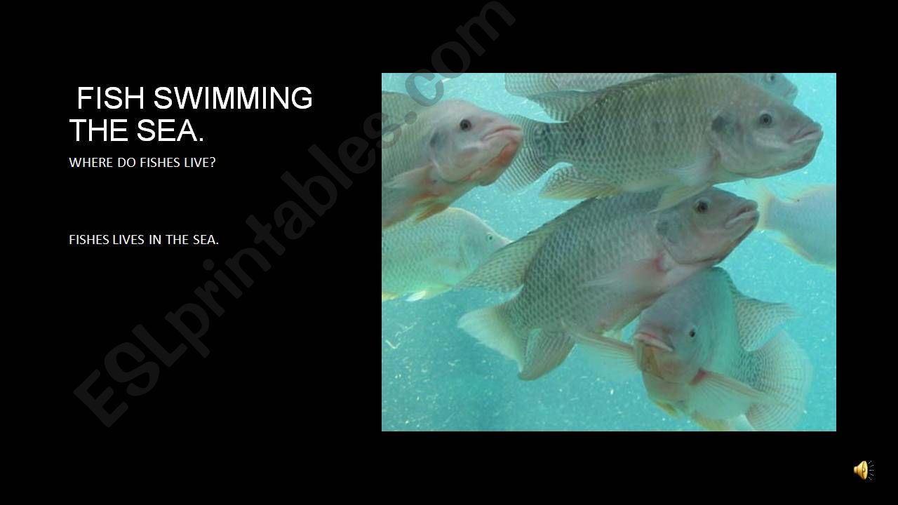 fishes swim in the sea. powerpoint