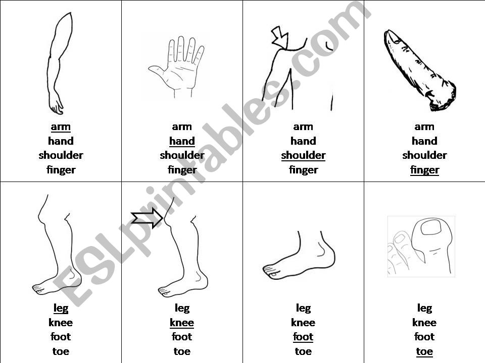 Happy Family Game Body Parts powerpoint