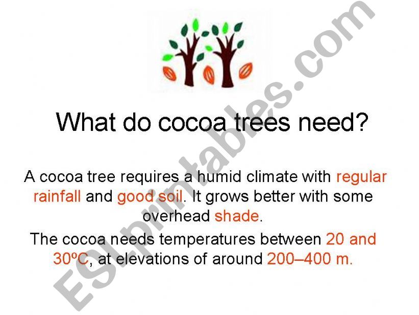 Cocoa trees powerpoint