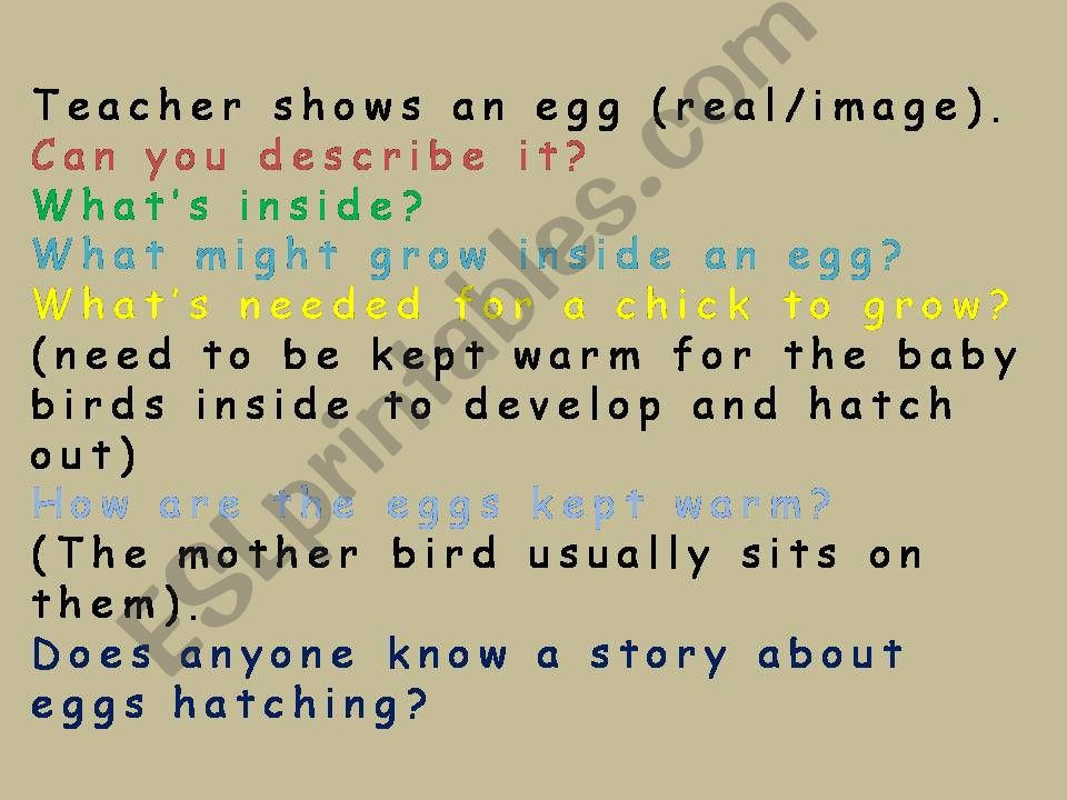 The Ugly Duckling (improved) powerpoint