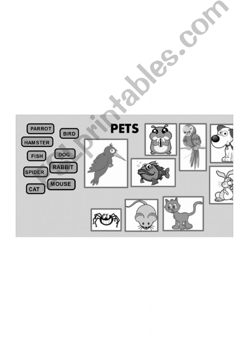 ANIMALS powerpoint