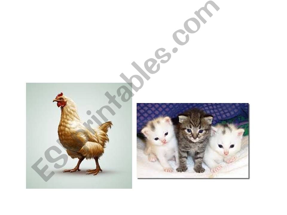 Animals Game powerpoint
