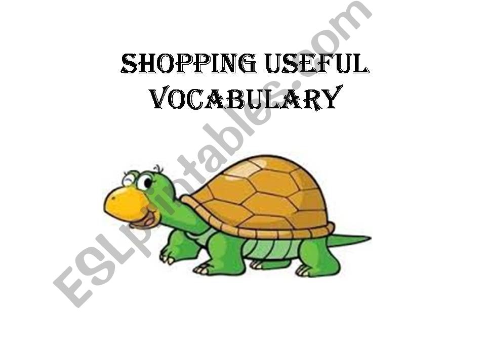 Shopping Useful Vocabulary powerpoint
