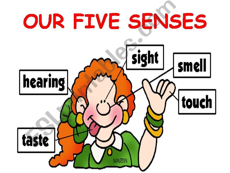 5 senses powerpoint