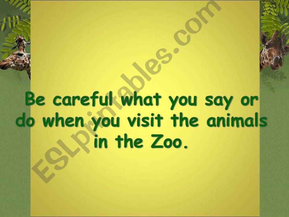 animals powerpoint