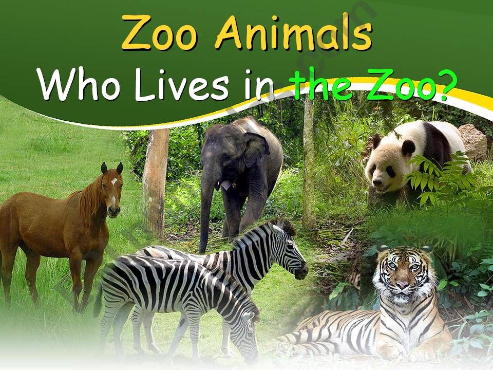 Zoo Animals powerpoint