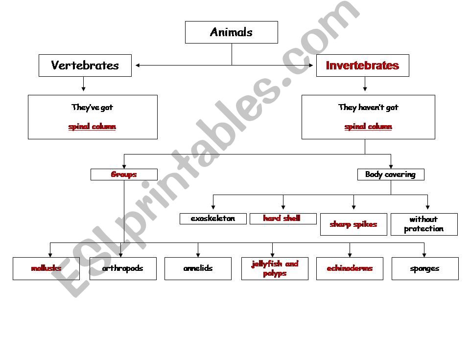 invertebrates powerpoint