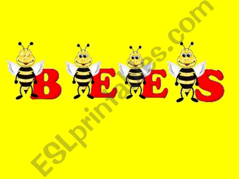 types of bees powerpoint