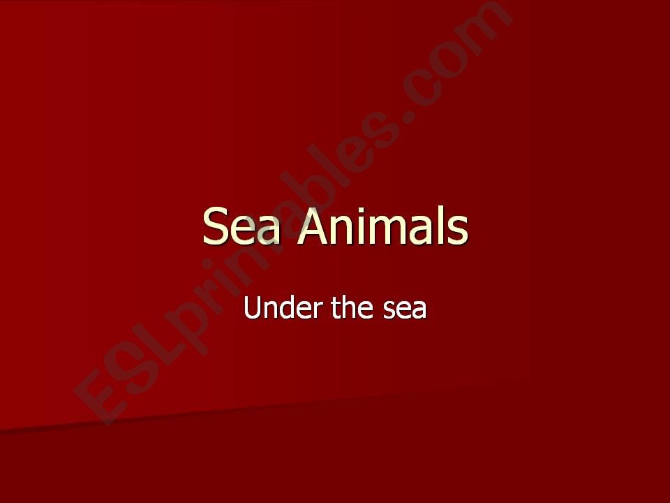 Animals in the Sea powerpoint