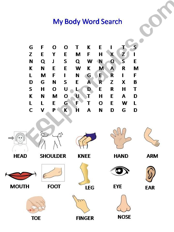 Body word search powerpoint