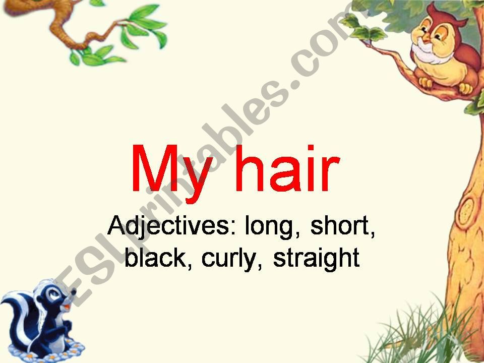 my hair powerpoint