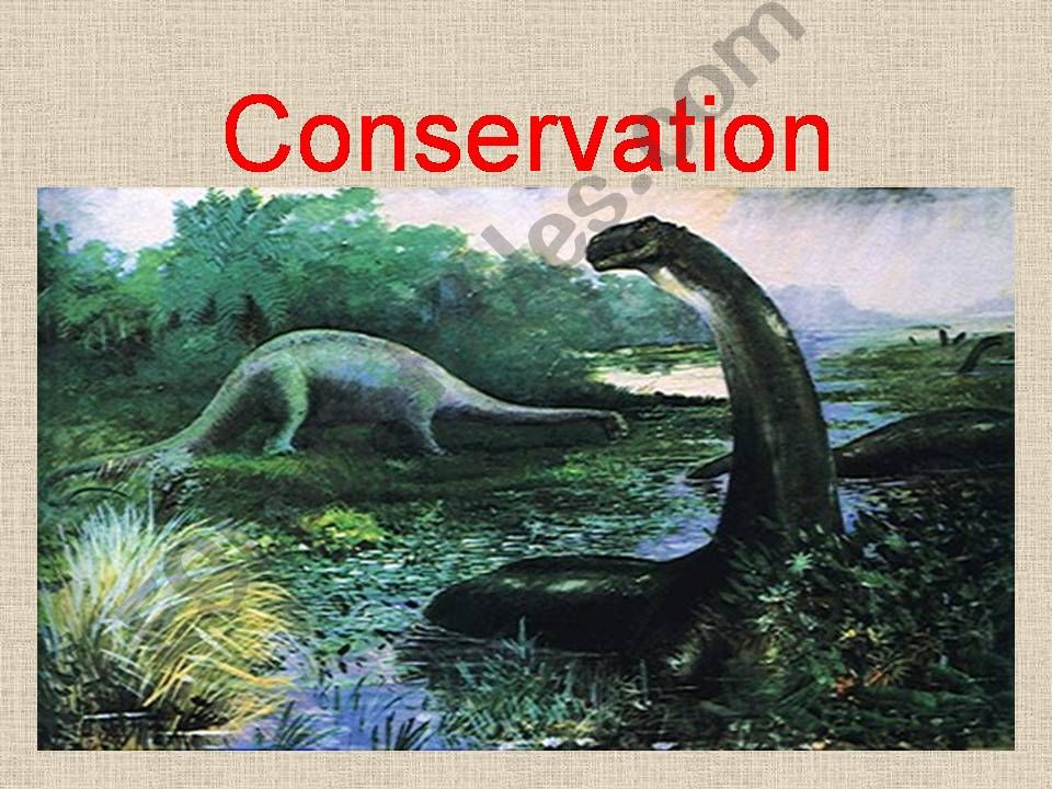 conservation powerpoint