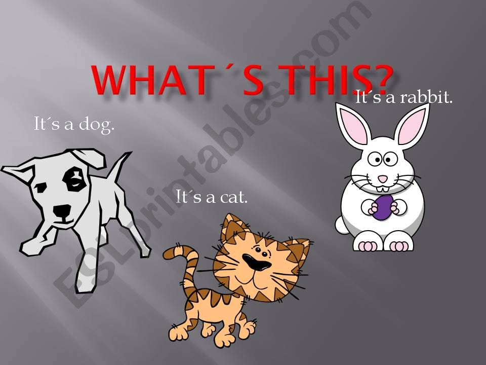 Whats this? Its a pet. powerpoint