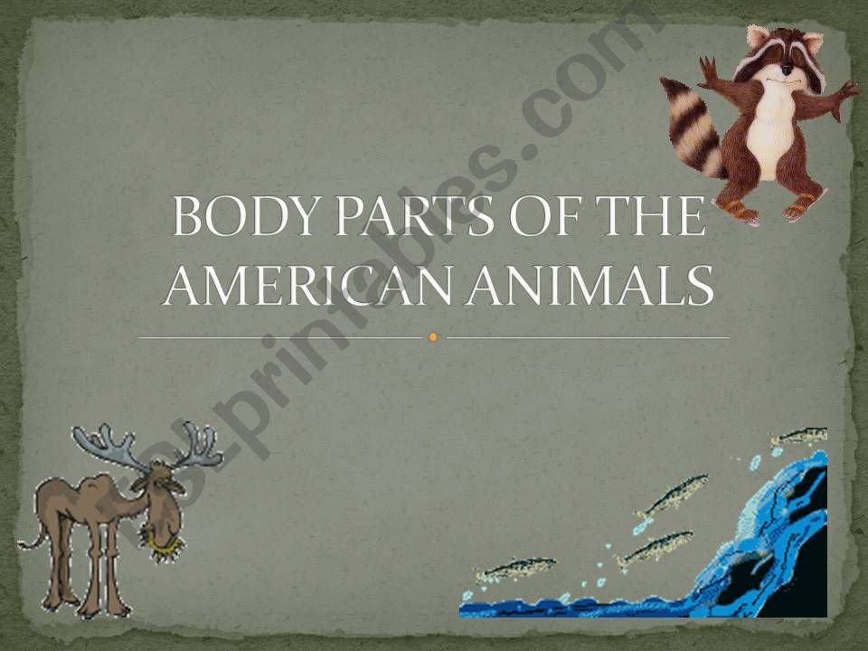Body parts of the american animals