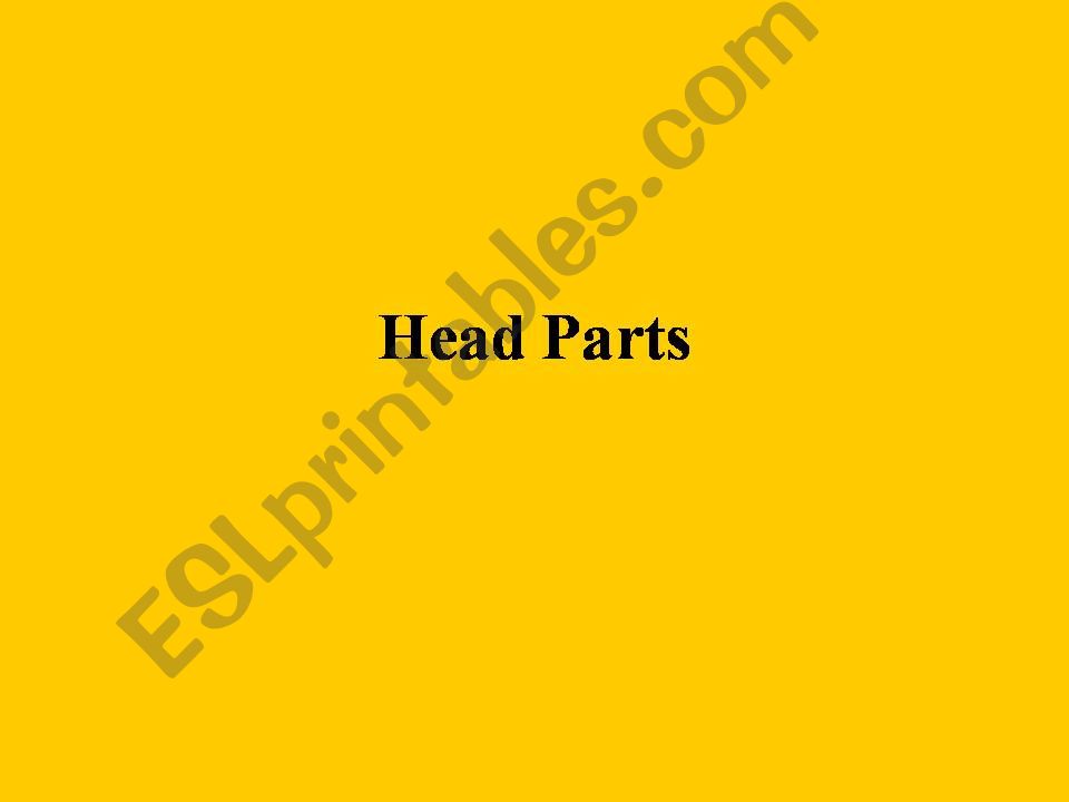 power point about head parts powerpoint