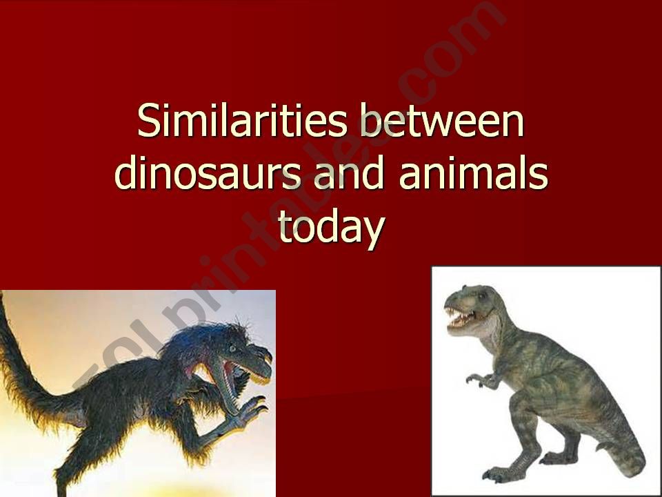 Dinosaurs-Similarities between dinosaurs and animals today