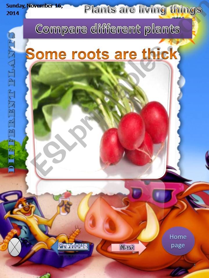 Different plants powerpoint