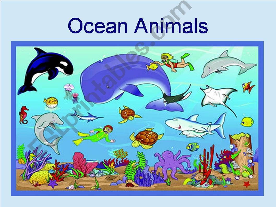 Ocean Animals powerpoint