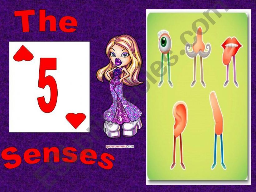 The 5 senses powerpoint