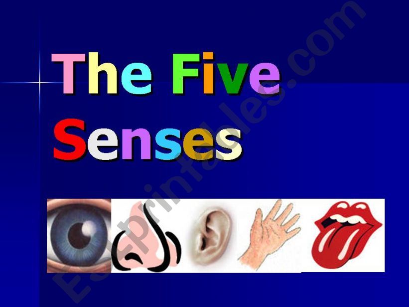 the five senses powerpoint