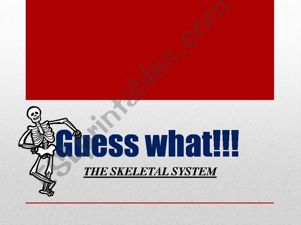 The Skeletal System powerpoint