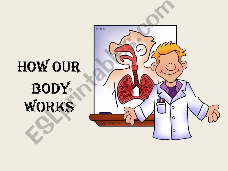 HOW OUR BODY WORKS powerpoint