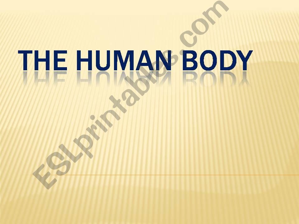 The Human Body  powerpoint