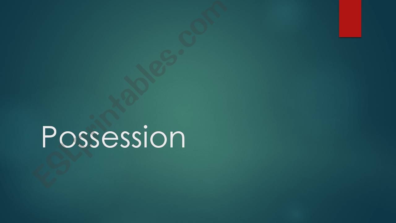 Expressing Possession powerpoint