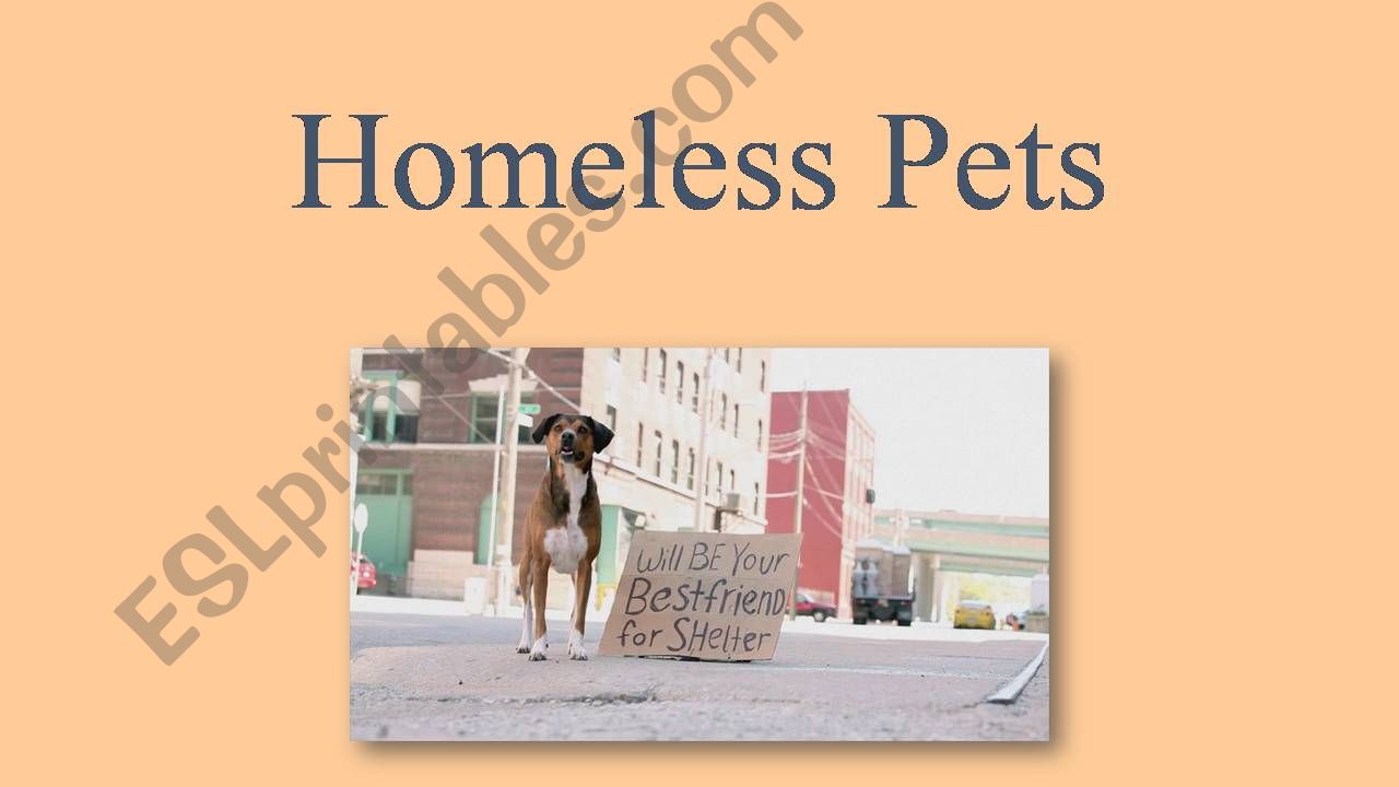 Homeless Pets powerpoint