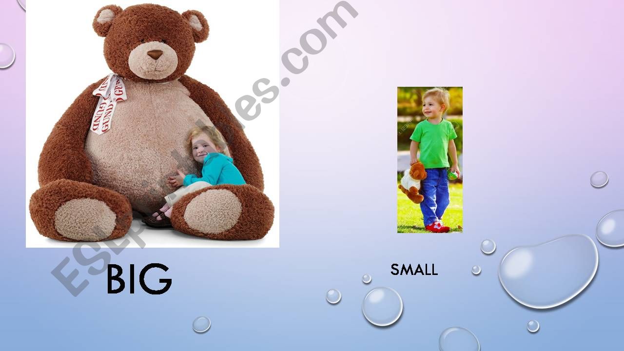 BIG SMALL+ TOYS powerpoint