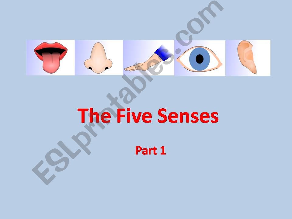 The Five Senses - Part 1 powerpoint