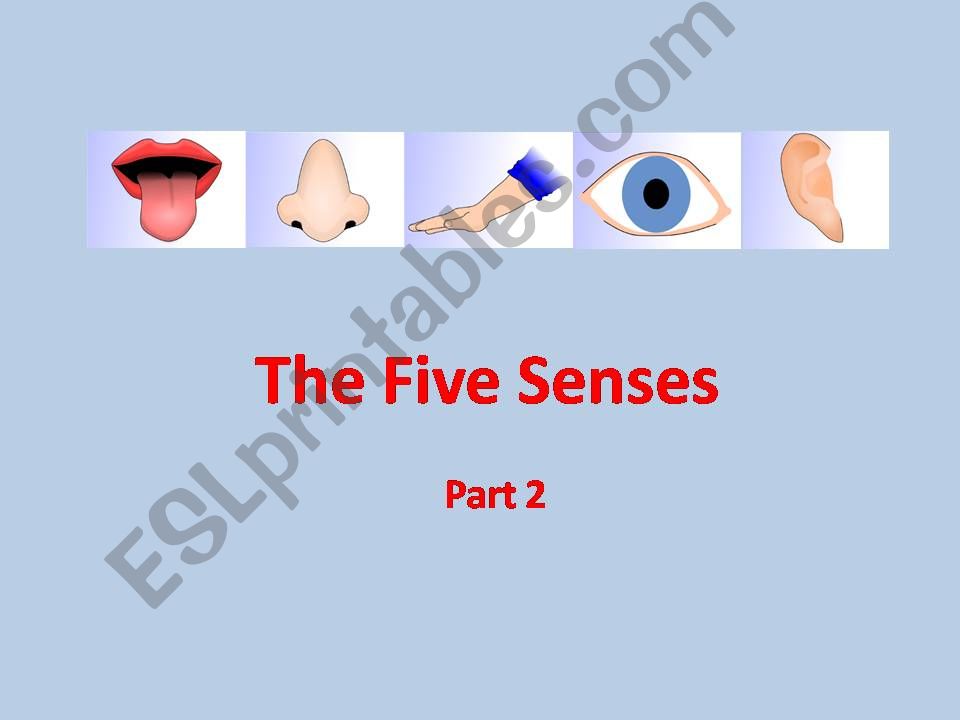 The Five Senses - Part 2 powerpoint